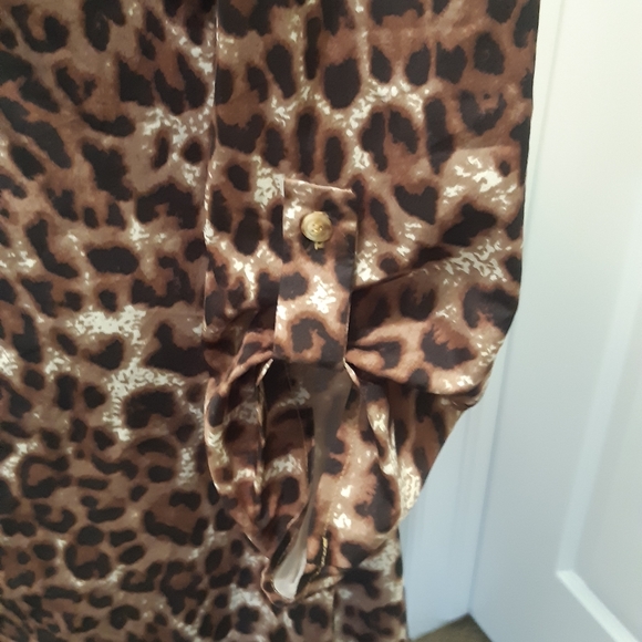 Leopard Print Dress - Picture 7 of 7